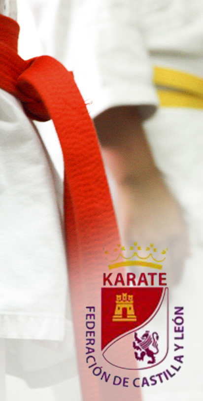 Imagen Canal Karate